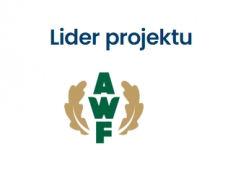 Program AKTYWNY POWRÓT DO SZKOŁY – WF Z AWF